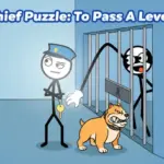 Thief Puzzle: To Pass A Level